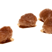 Marrons Glacés